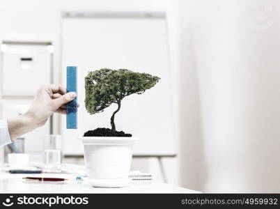 Growth and income. Close up of human hand measuring plant in pot with ruler