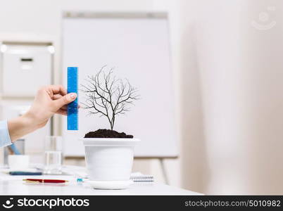 Growth and income. Close up of human hand measuring plant in pot with ruler