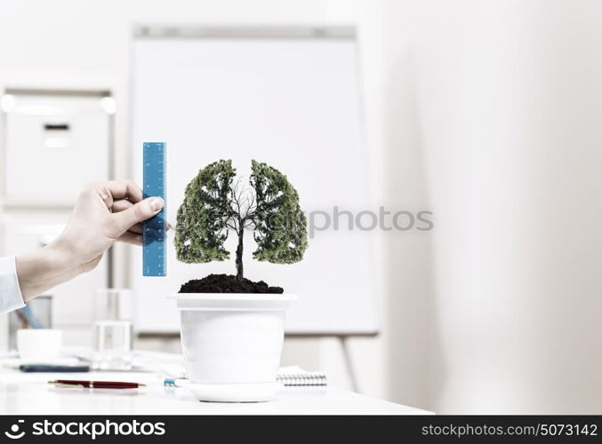 Growth and income. Close up of human hand measuring plant in pot with ruler