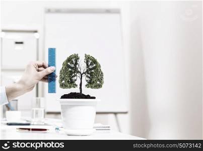Growth and income. Close up of human hand measuring plant in pot with ruler