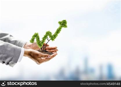 Growth concept. Image of human hands holding plant shaped like arrow