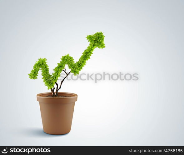 Growth concept. Image of human hands holding plant shaped like arrow