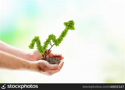 Growth concept. Image of human hands holding plant shaped like arrow