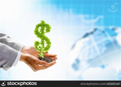 Growth concept. Image of human hands holding plant shaped like dollar