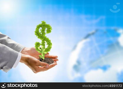 Growth concept. Image of human hands holding plant shaped like dollar