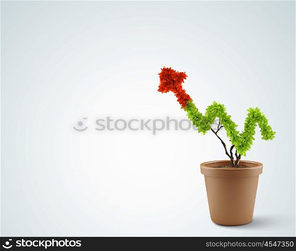 Growth concept. Plant in pot shaped like graph. Wealth concept
