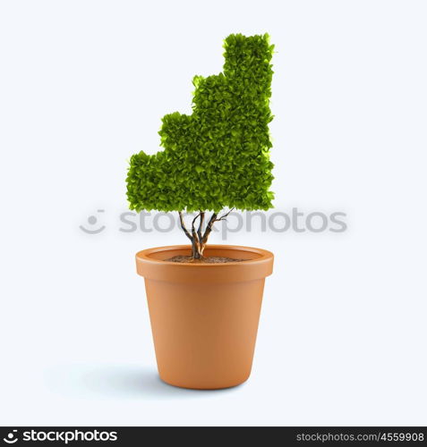 Growth concept. Plant in pot shaped like graph. Wealth concept