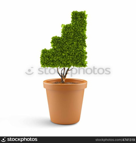 Growth concept. Plant in pot shaped like graph. Wealth concept