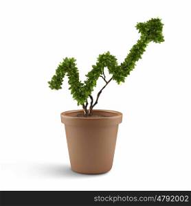 Growth concept. Plant in pot shaped like graph. Wealth concept