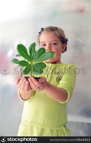growth concept with small plant in hand