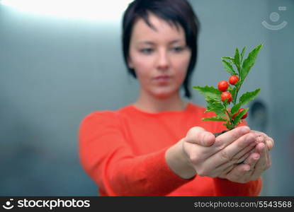 growth concept with small plant in hand