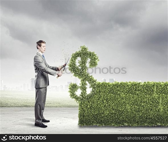 Growth concept. Young businessman cutting bush in shape of dollar