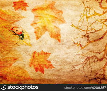 grunge abstract fall background with branches and colorful leaves