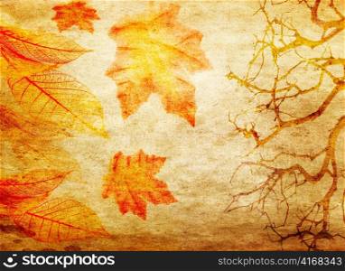 grunge abstract fall background with trees and colorful leaves