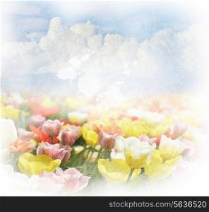 Grunge Background With Beautiful Clouds And Tulips