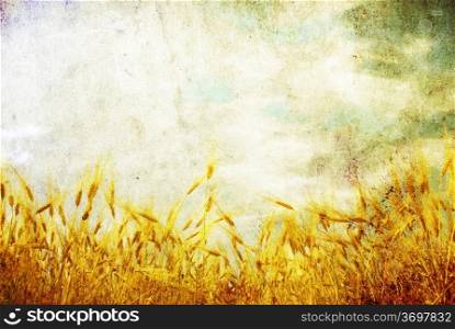 Grunge background with golden wheat in a farm field