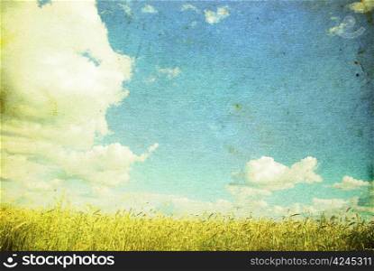 Grunge background with golden wheat in a farm field