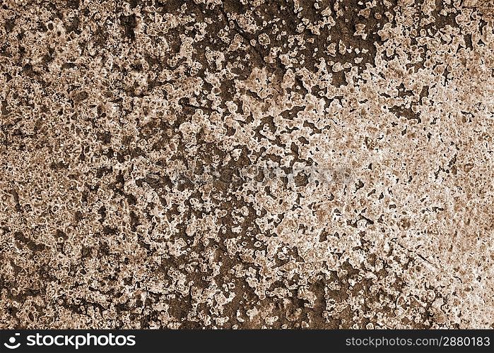 Grunge cement background with paint