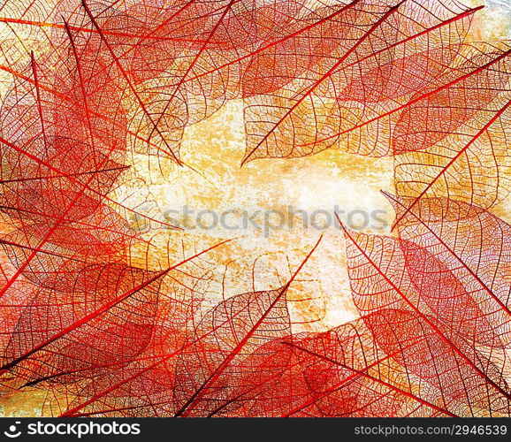 Grunge Colorful Texture With Skeleton Leaves For Background