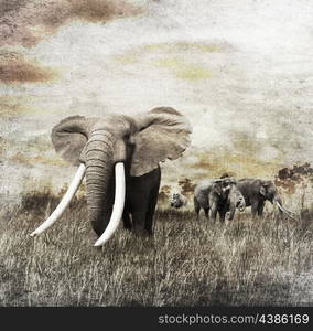 Grunge Image Of Walking Elephants