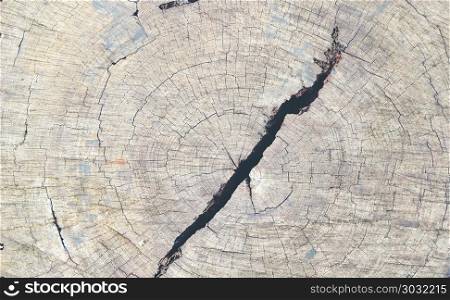 Grunge of texture wood materials background