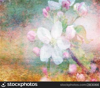 grunge paper with blossom