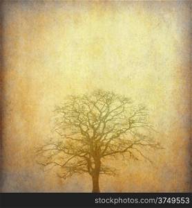 Grunge paper with tree shape and space