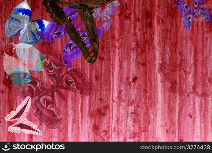 grunge red color background with butterflies spring colorful transparency