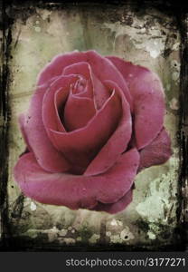 Grunge rose