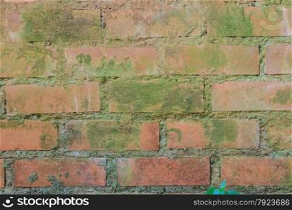 Grunge rough wall of the old house. Textured background abstract
