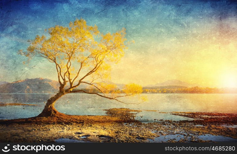 Grunge styled lanscape. Natural beautiful landscape of mountain lake and forest