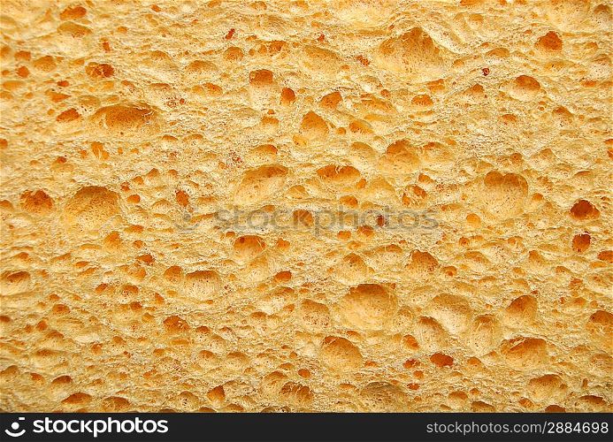 Grunge surface of the sponge