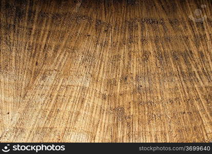 Grunge texture of old stump