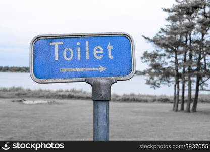 Grunge toilet sign in blue color and outdoors