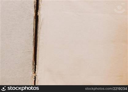 grunge torn paper texture background with space text
