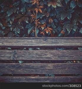 Grunge vintage colored autumn background with space for copy - wet leaves of wild grapes with dew over planks of old wood.. Wet Autumn Leaves Over Wooden Planks