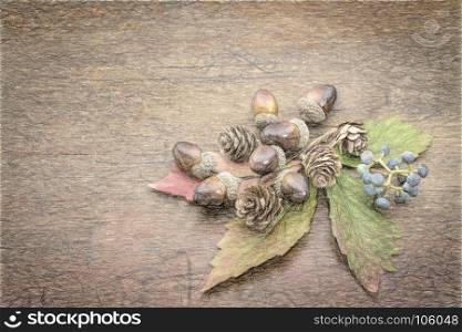 grunge weathered wood background with acorns, cones and leaf - fall decoration with a copy space, digital charcoal painting effect applied