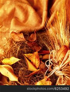 Grunge wheat background with autumn leaves