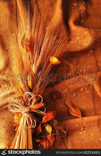 Grunge wheat background with autumn leaves