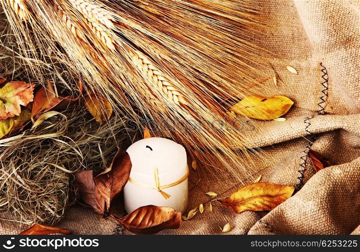 Grunge wheat background with autumn leaves &amp; candle