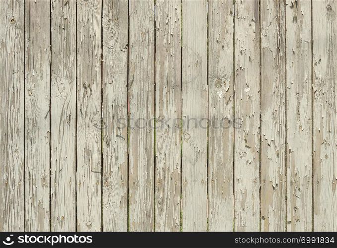 Grunge wooden background. Peeling white paint on an old wooden fence