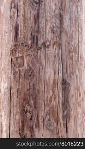 grunge wooden texture great as background