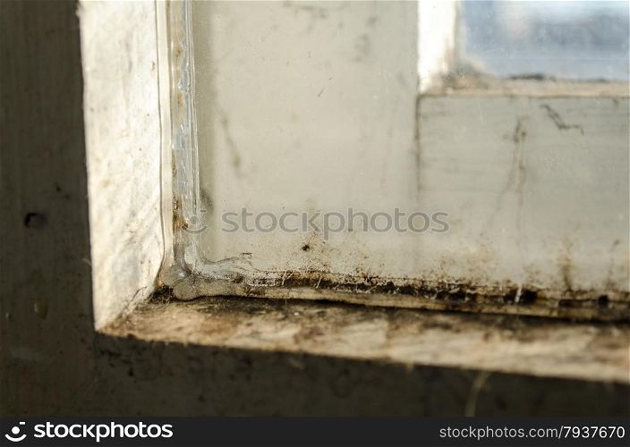 Grungy dirty old window closeup mold view