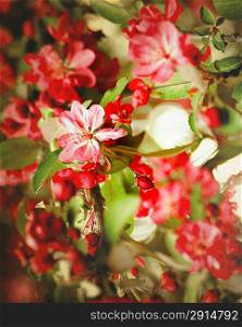 Grungy floral backgrounds with very shallow focus for your design
