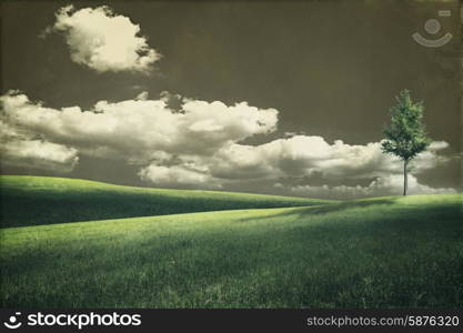 Grungy natural landscape with green hills and alone tree