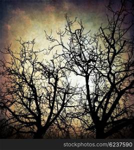 Grungy trees silhouette background over dirty night sky