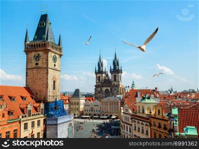 Gulls over Prague chimes and Tynsky cathedral at summer day
