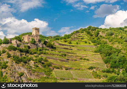 Gutenfels (Caub) Castle and vineyards at Rhine Valley (Rhine Gorge) near Kaub, Germany. Built in 1220.