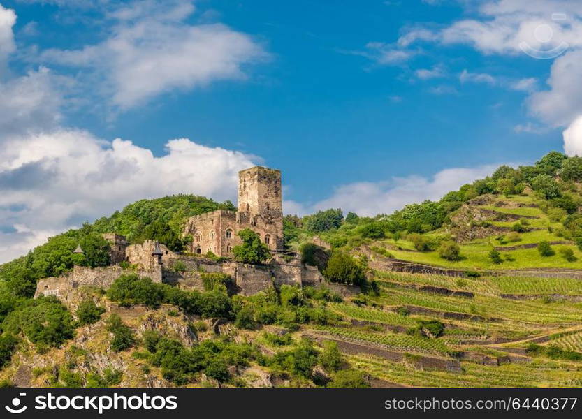 Gutenfels (caub) Castle And Vineyards At Rhine Valley (rhine Gorge 