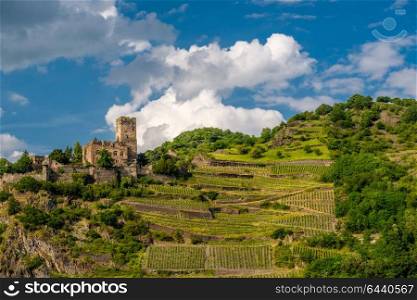 Gutenfels (Caub) Castle and vineyards at Rhine Valley (Rhine Gorge) near Kaub, Germany. Built in 1220.